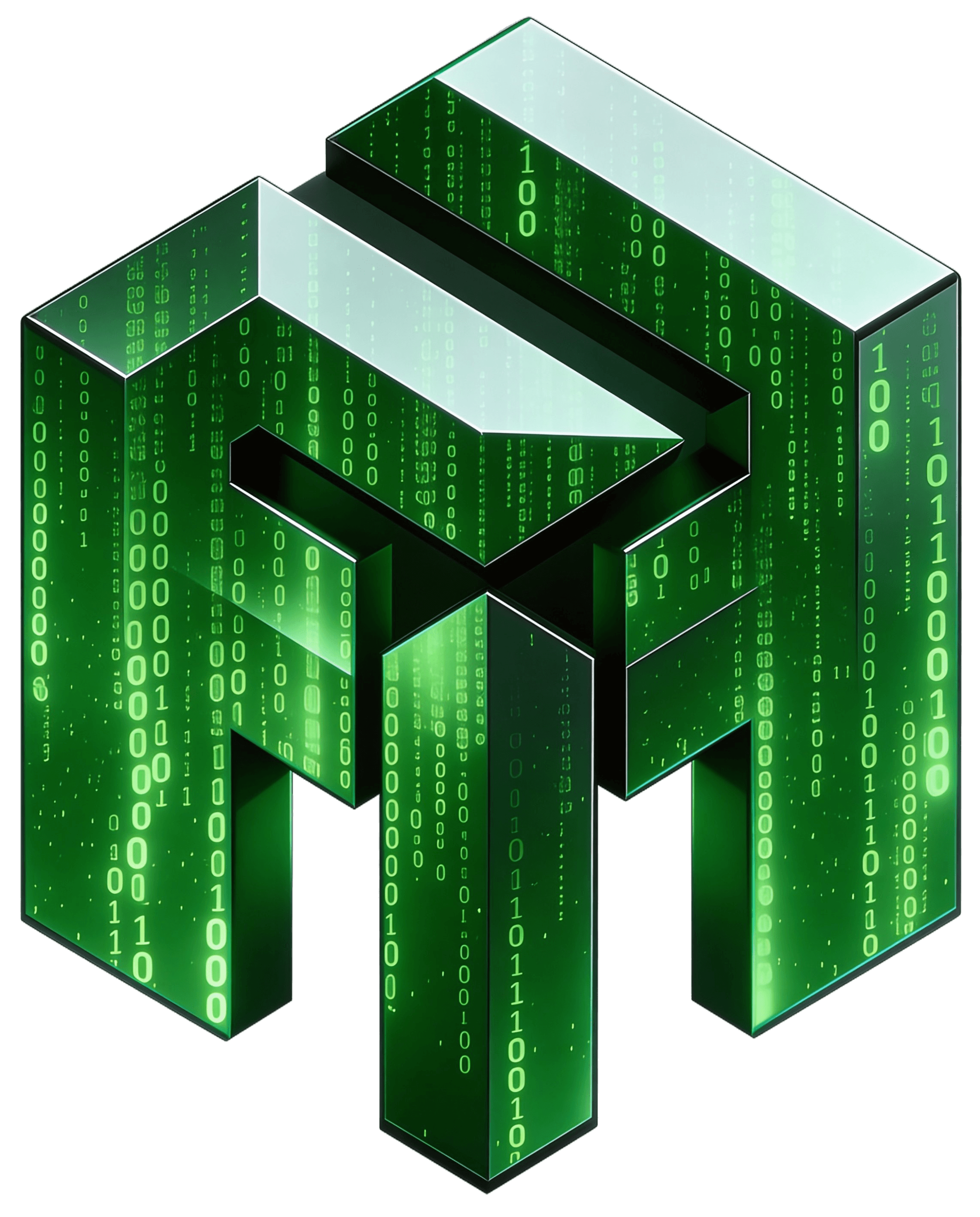 FM-IT