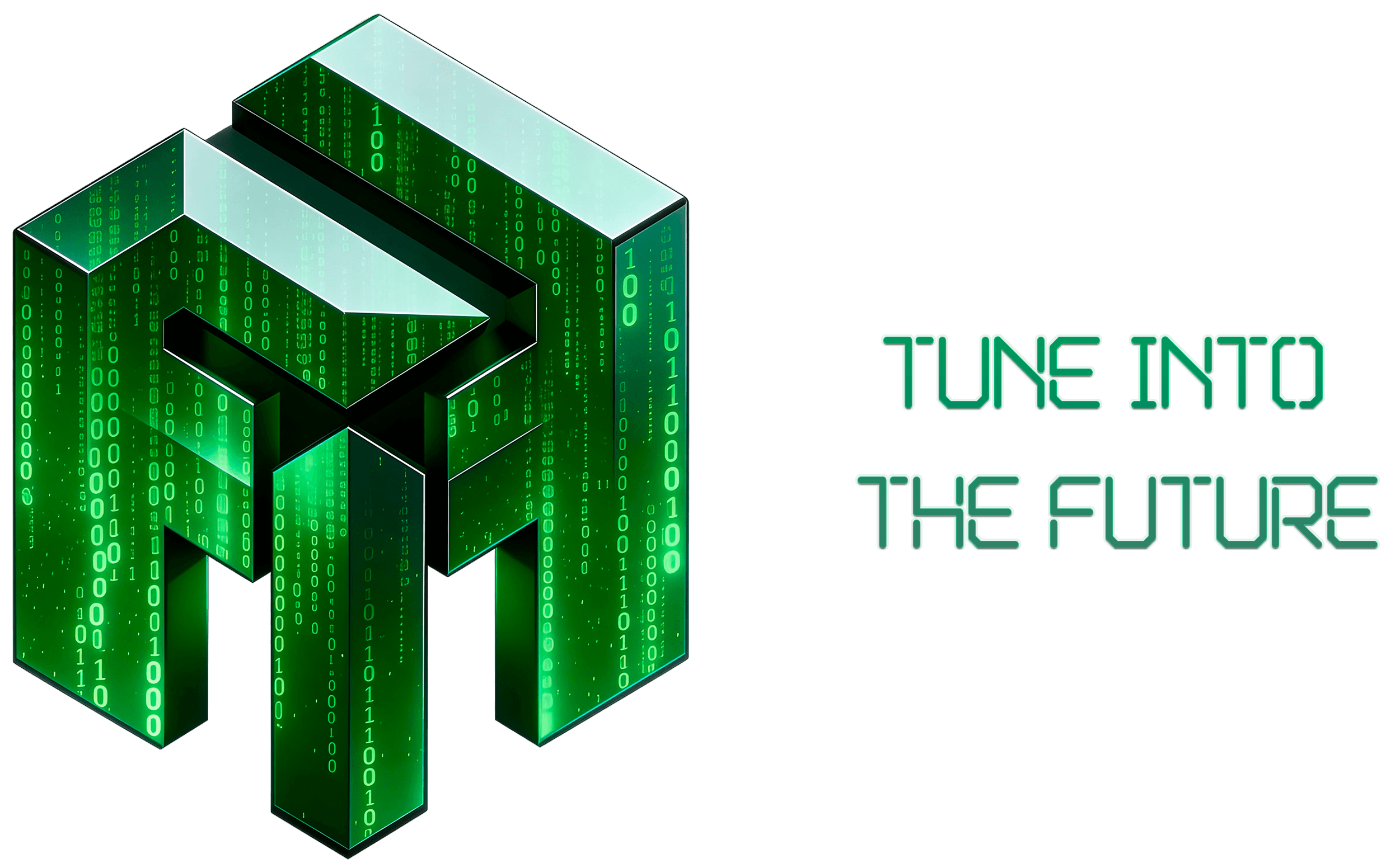 FM-IT